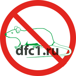 Уничтожение крыс в Туймазах