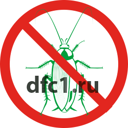 Уничтожение тараканов в Туймазах